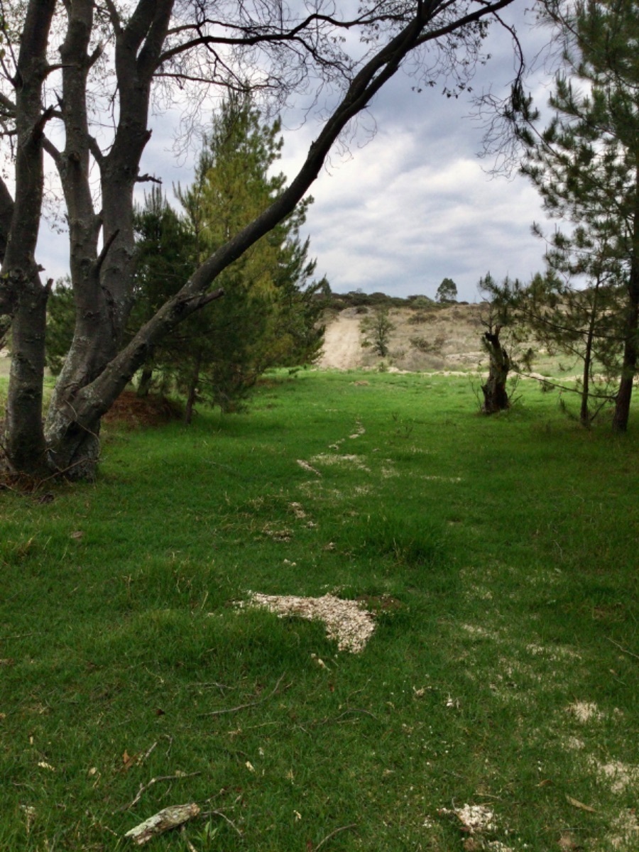 terreno-en-venta-con-hermosas-vistas-ideal-para-rancho-en-aculco-edo-de-mxico28-18899