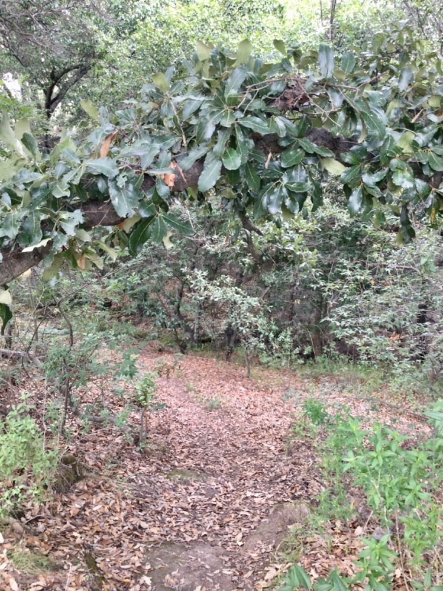 terreno-en-venta-con-hermosas-vistas-ideal-para-rancho-en-aculco-edo-de-mxico34-18899