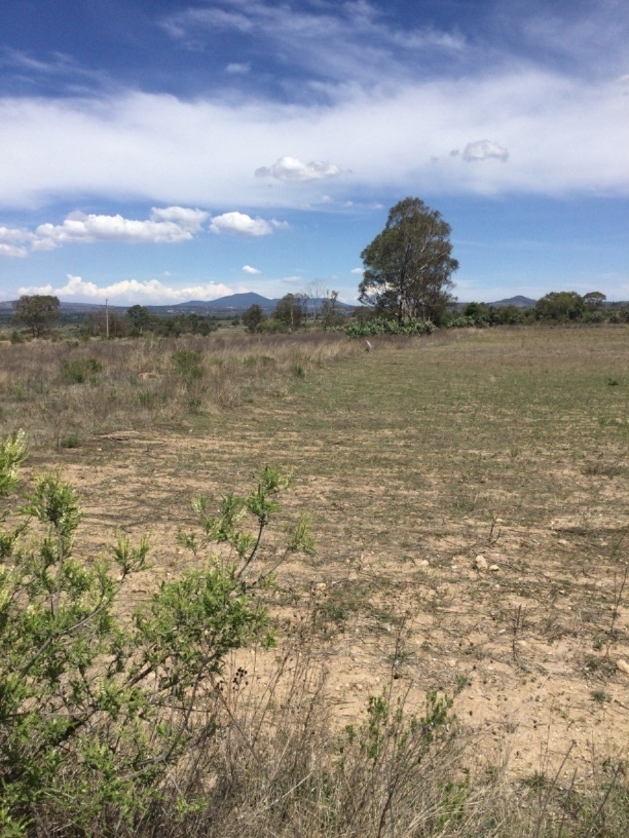 Terreno en Venta de 1Ha en San Antonio Polotitlán Estado de México