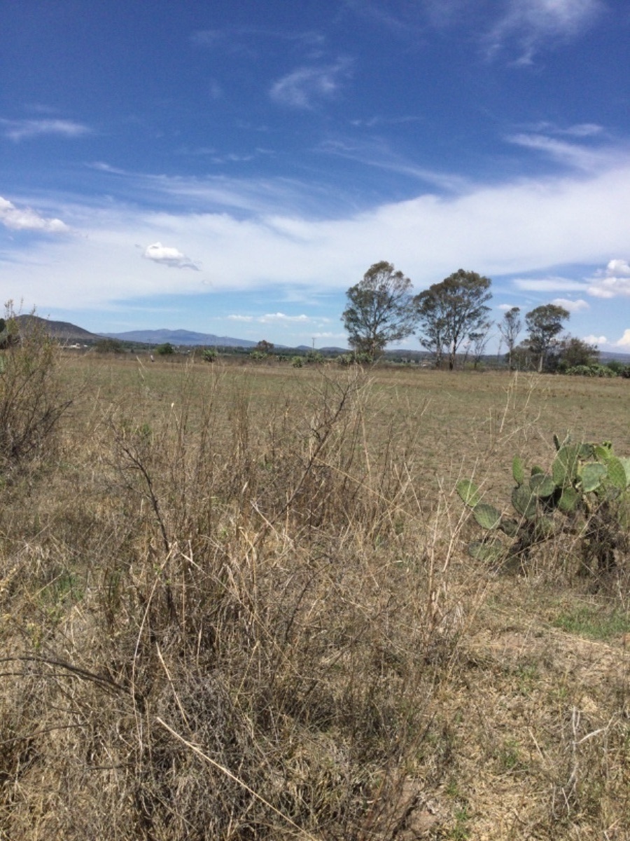 terreno-en-venta-de-1ha-en-san-antonio-polotitln-estado-de-mxico10-18905