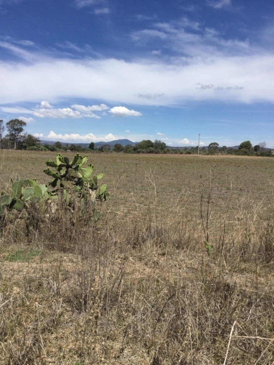 terreno-en-venta-de-1ha-en-san-antonio-polotitln-estado-de-mxico11-18905