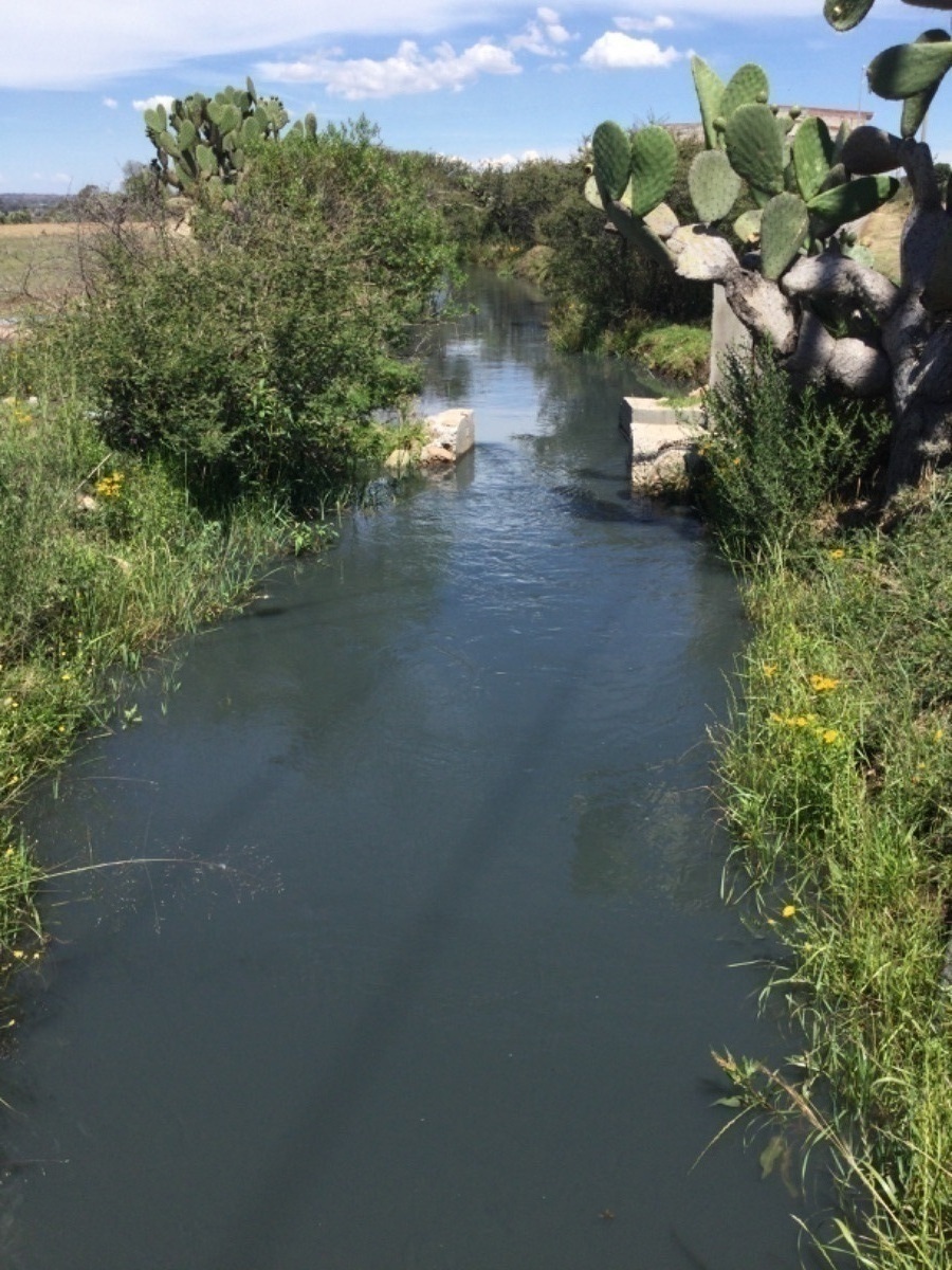 terreno-en-venta-de-1ha-en-san-antonio-polotitln-estado-de-mxico17-18905