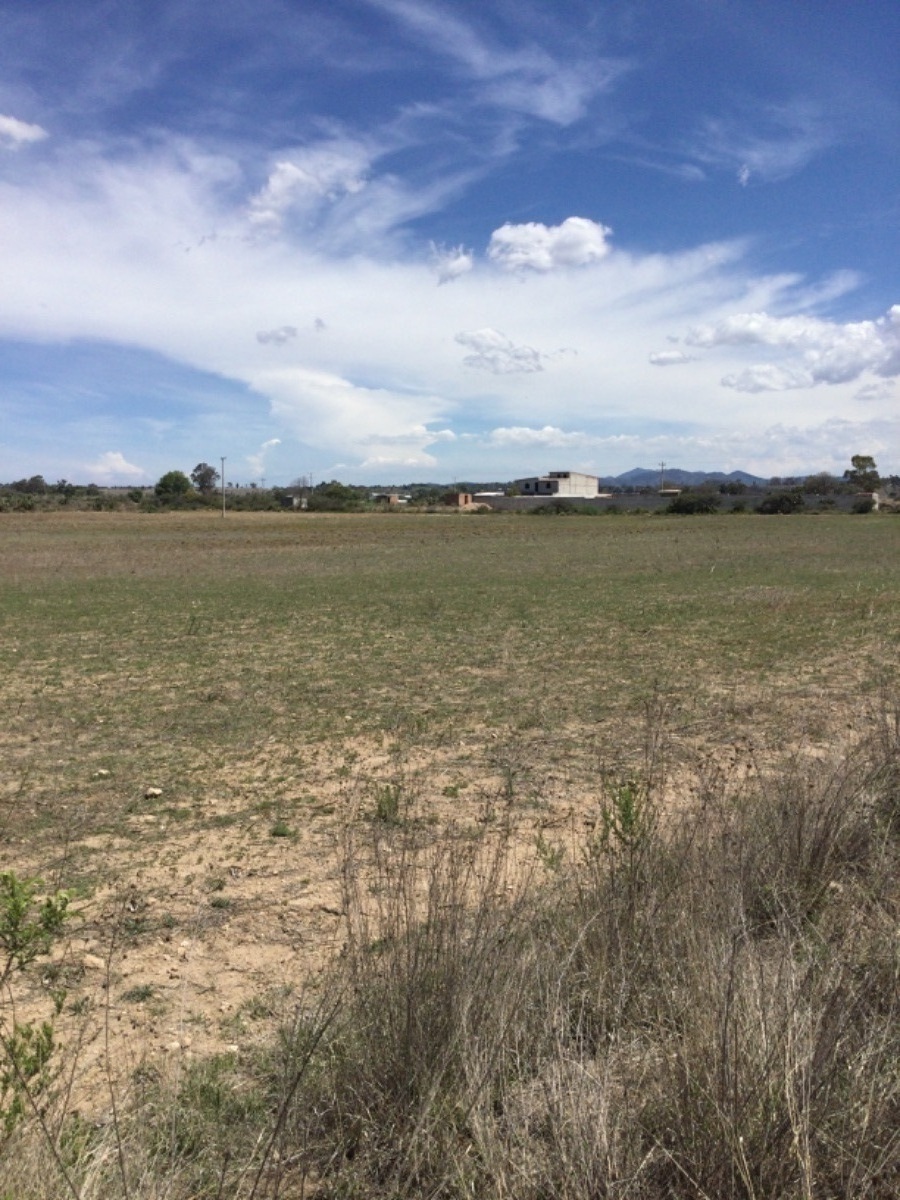 terreno-en-venta-de-1ha-en-san-antonio-polotitln-estado-de-mxico5-12322