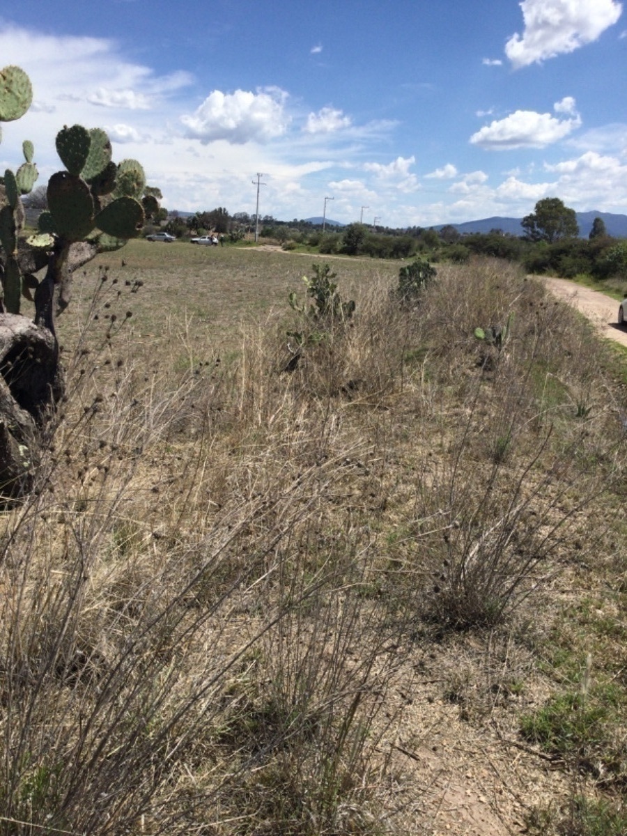 terreno-en-venta-de-1ha-en-san-antonio-polotitln-estado-de-mxico6-18905