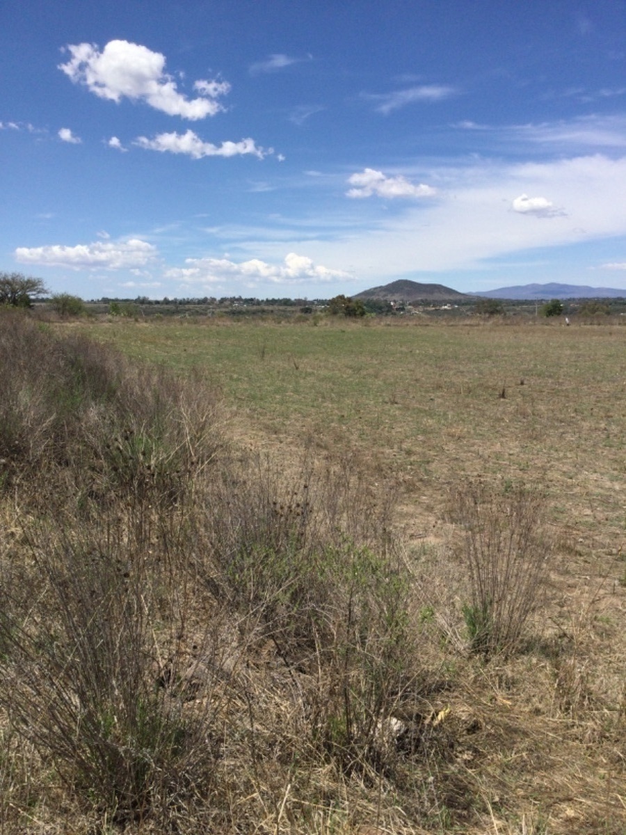 terreno-en-venta-de-1ha-en-san-antonio-polotitln-estado-de-mxico8-18905