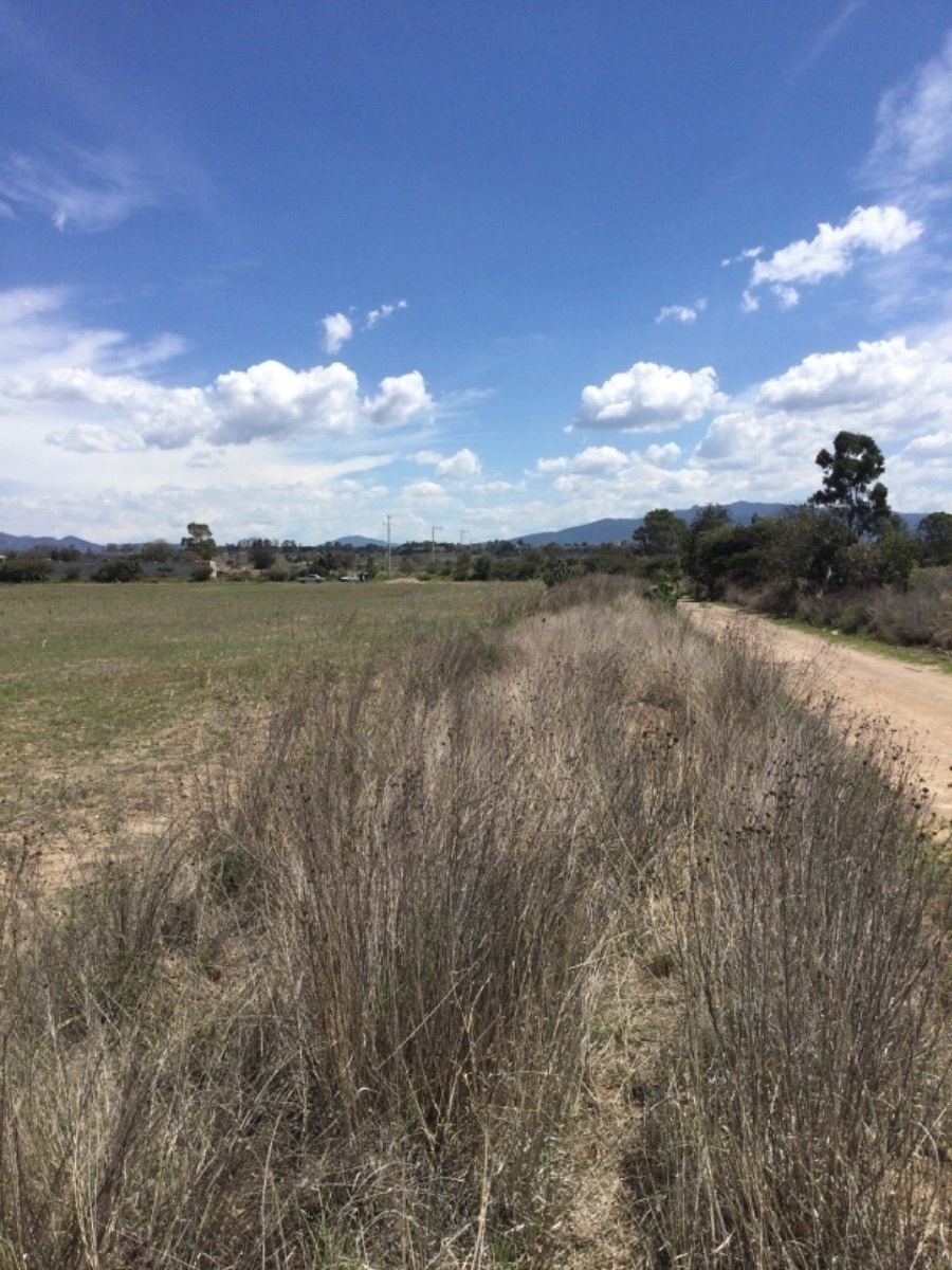 terreno-en-venta-de-1ha-en-san-antonio-polotitln-estado-de-mxico9-18905