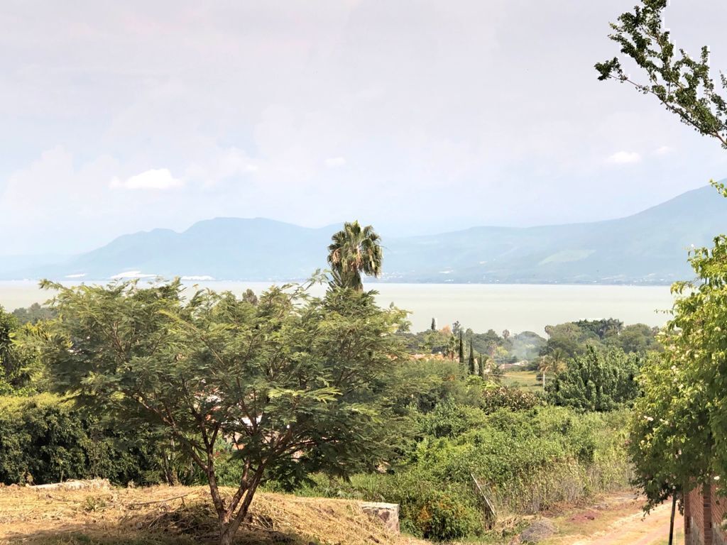 terreno-en-venta-dentro-de-coto-con-vista-al-lago-de-chapala2-21885