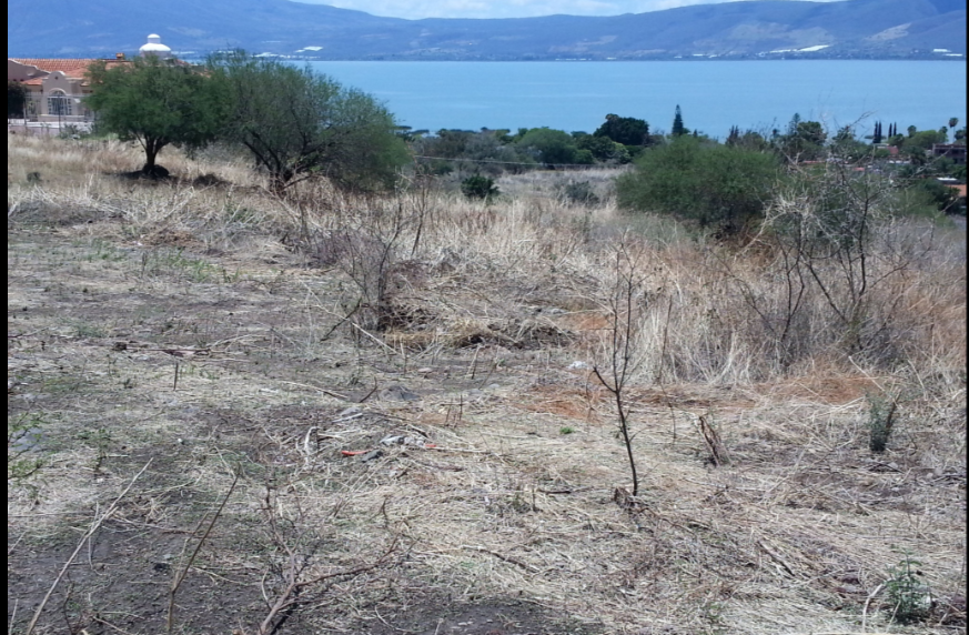 terreno-en-venta-dentro-de-coto-lomas-del-chante-jocotepec2-21881