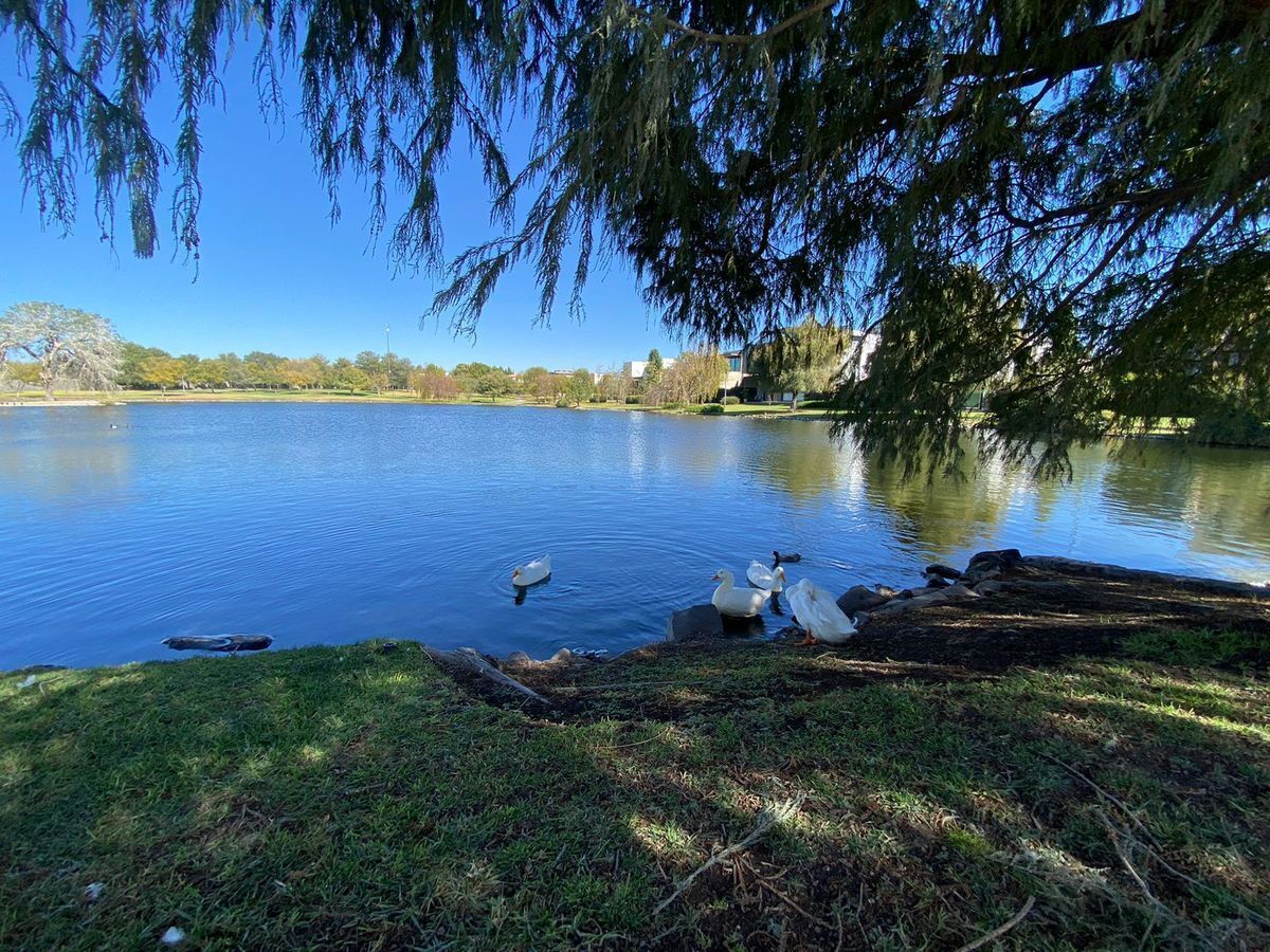 TERRENO EN VENTA EL CAMPANARIO QUERETARO