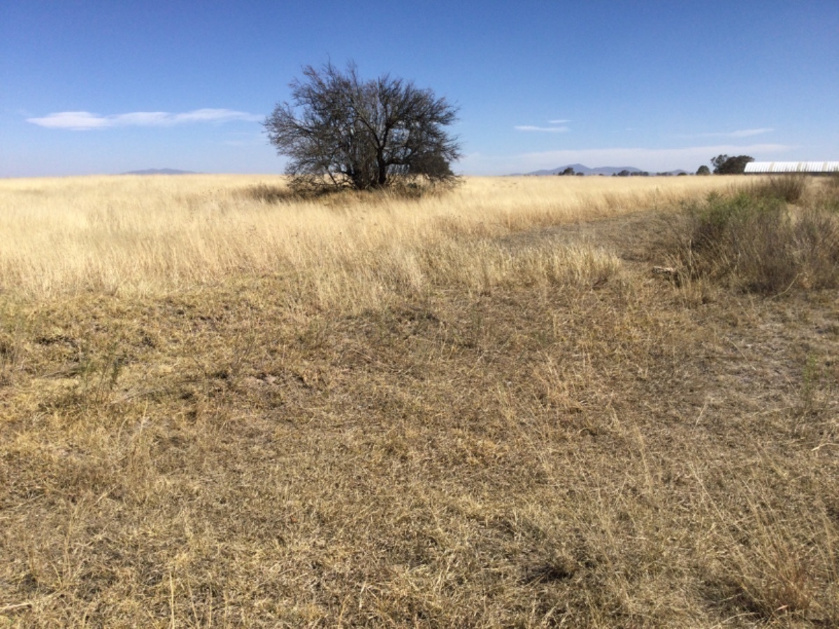 Terreno en Venta en Aculco Estado de México