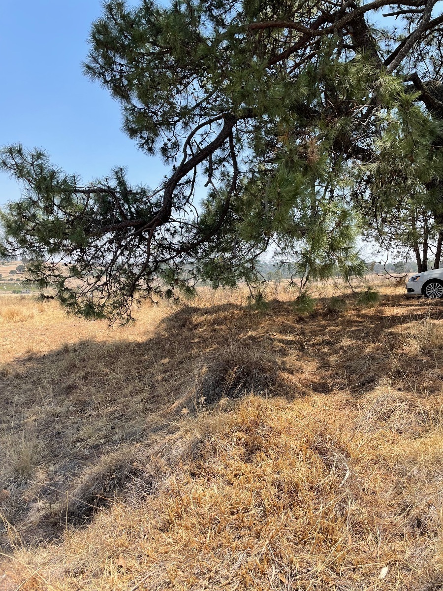 Terreno en Venta en Aculco Estado de México