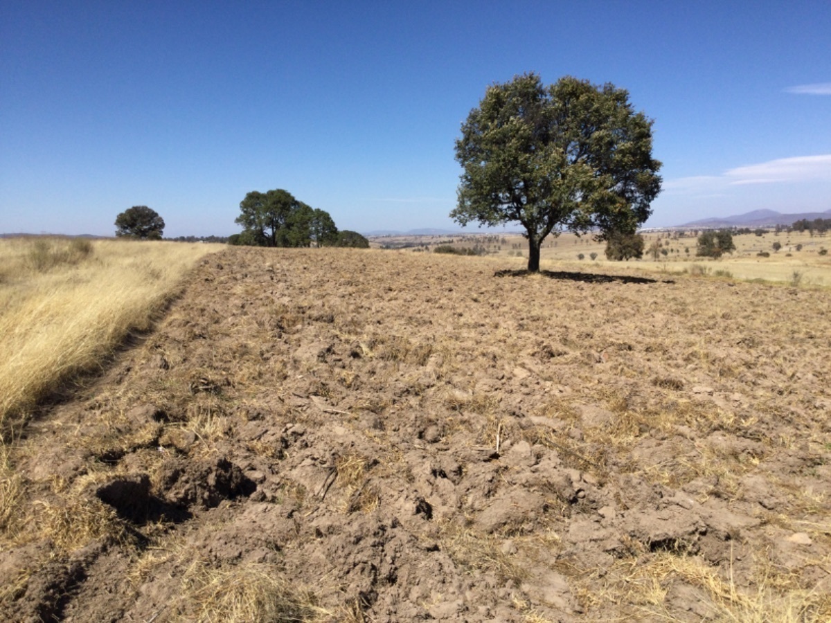 terreno-en-venta-en-aculco-estado-de-mxico25-28358