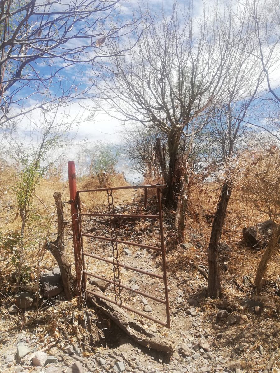 Terreno en venta en Amatlan de cañas