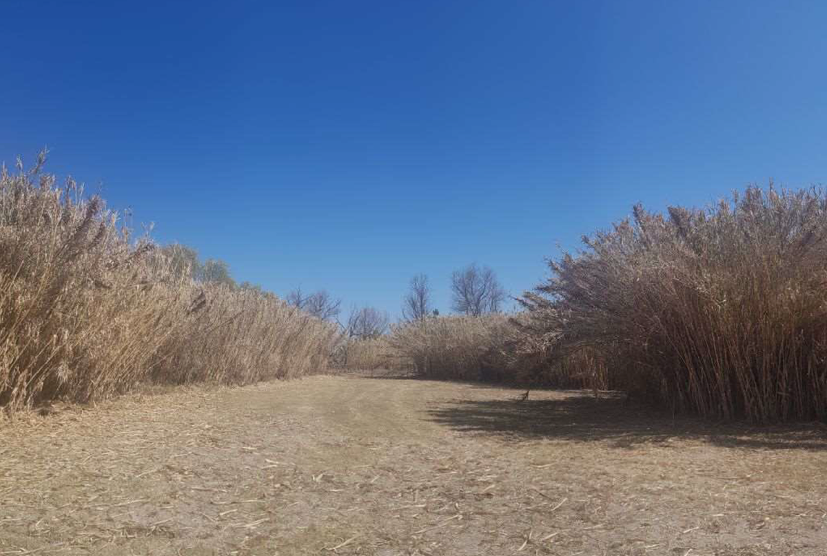 Terreno en Venta en Atotonilco, San Miguel de Allende