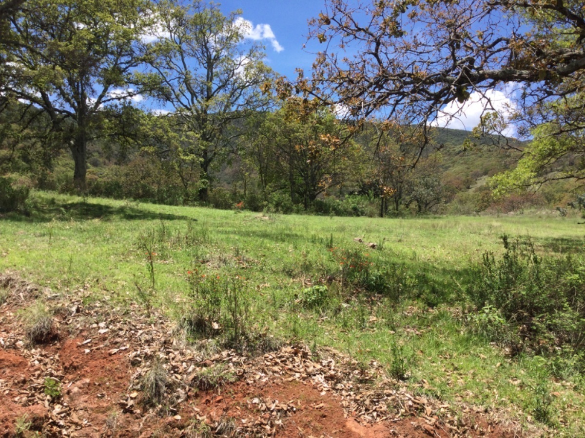 Terreno en Venta en Bimbó Aculco Estado de México