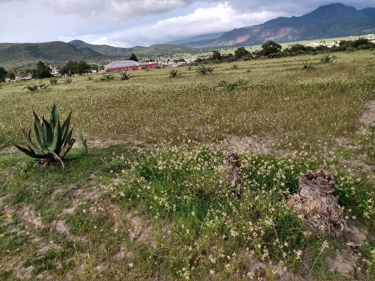 TERRENO EN VENTA EN CHICONCUAC TLANALAPA HIDALGO, A LADO DEL AUDITORIO MUNICIPAL