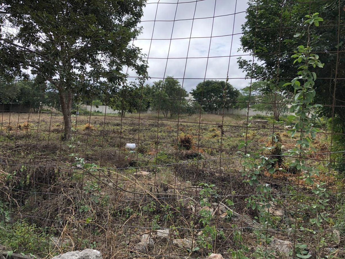 terreno-en-venta-en-cholul-yucatn10-17367