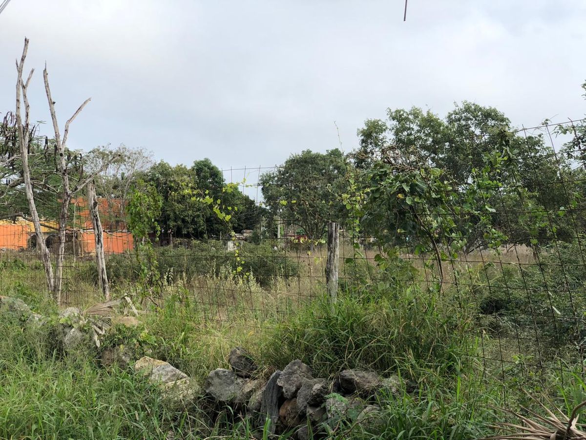 terreno-en-venta-en-cholul-yucatn12-17367