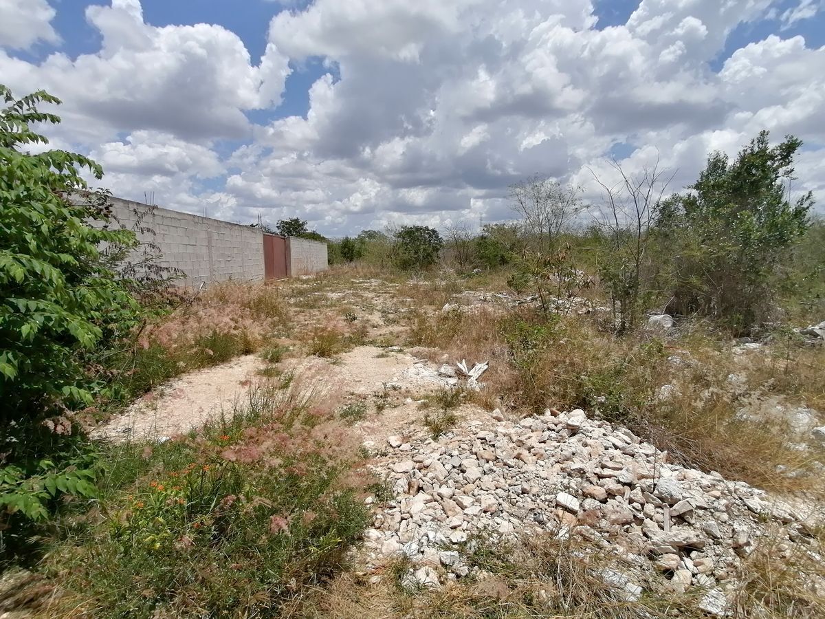 terreno-en-venta-en-dzitya-merida-yucatan9-26513