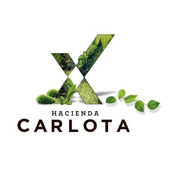 Terreno en Venta en Hacienda Carlota!!