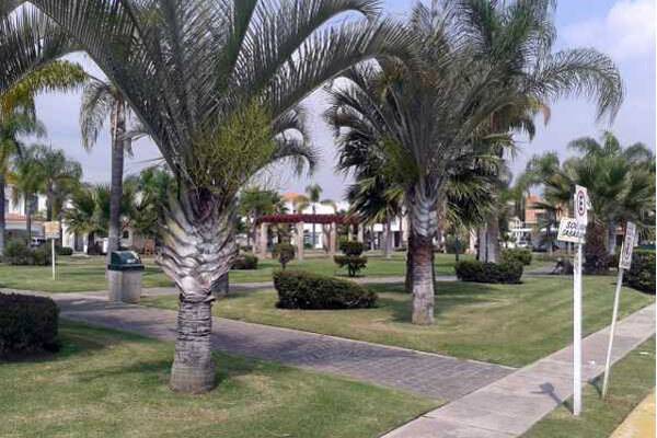 terreno-en-venta-en-jardn-real-zapopan7-10505