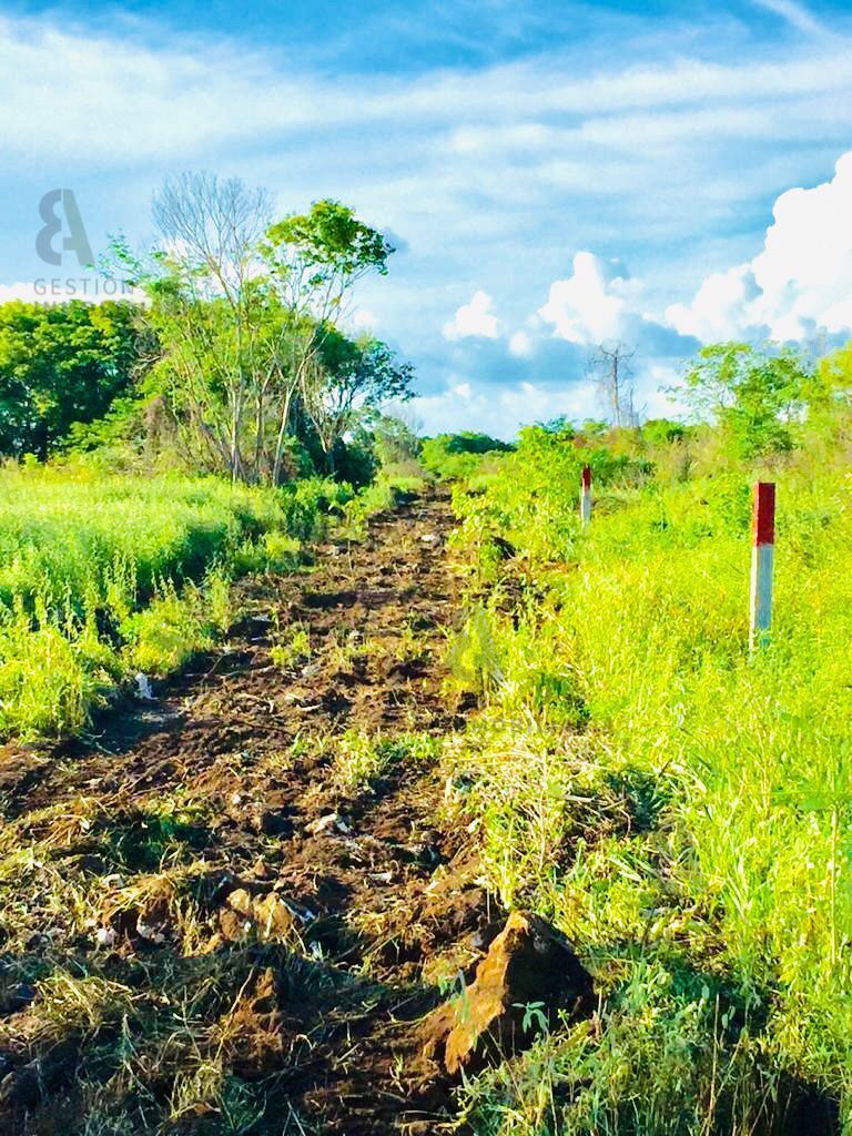 terreno-en-venta-en-mahahual-quintana-roo-ctv12810-30546