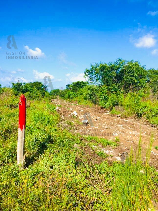 terreno-en-venta-en-mahahual-quintana-roo-ctv12812-30546