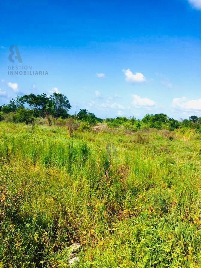 terreno-en-venta-en-mahahual-quintana-roo-ctv1289-30546