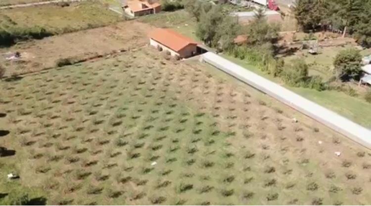 terreno-en-venta-en-mazamitla-jalisco10-10810