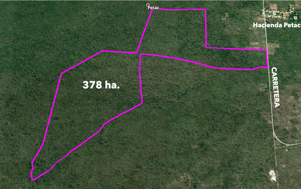 TERRENO EN VENTA EN MERIDA, 378 HA, EN SAN ANTONIO TZACALA