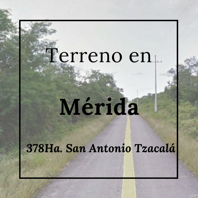 terreno-en-venta-en-merida-378-ha-en-san-antonio-tzacala2-29801