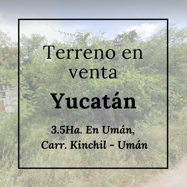 terreno-en-venta-en-merida-en-uman-35-ha-sobre-carret-kinchil2-29800