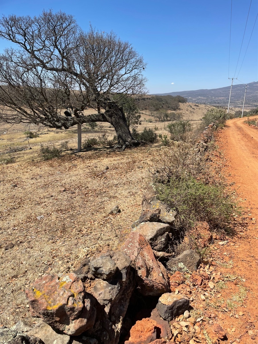 terreno-en-venta-en-nopala-hidalgo28-28402