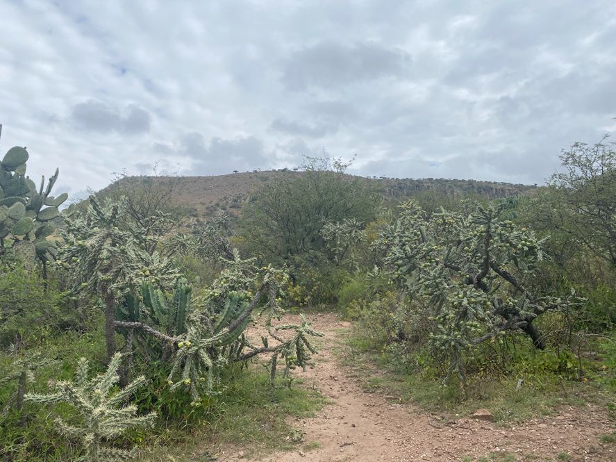 terreno-en-venta-en-palo-colorado--san-miguel-de-allende2-13177