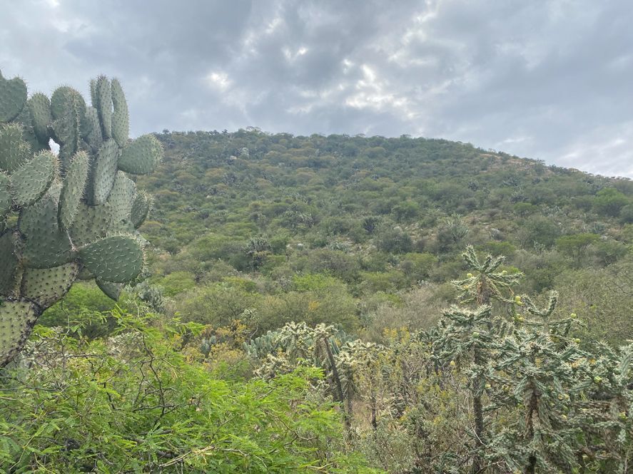 terreno-en-venta-en-palo-colorado--san-miguel-de-allende8-13177