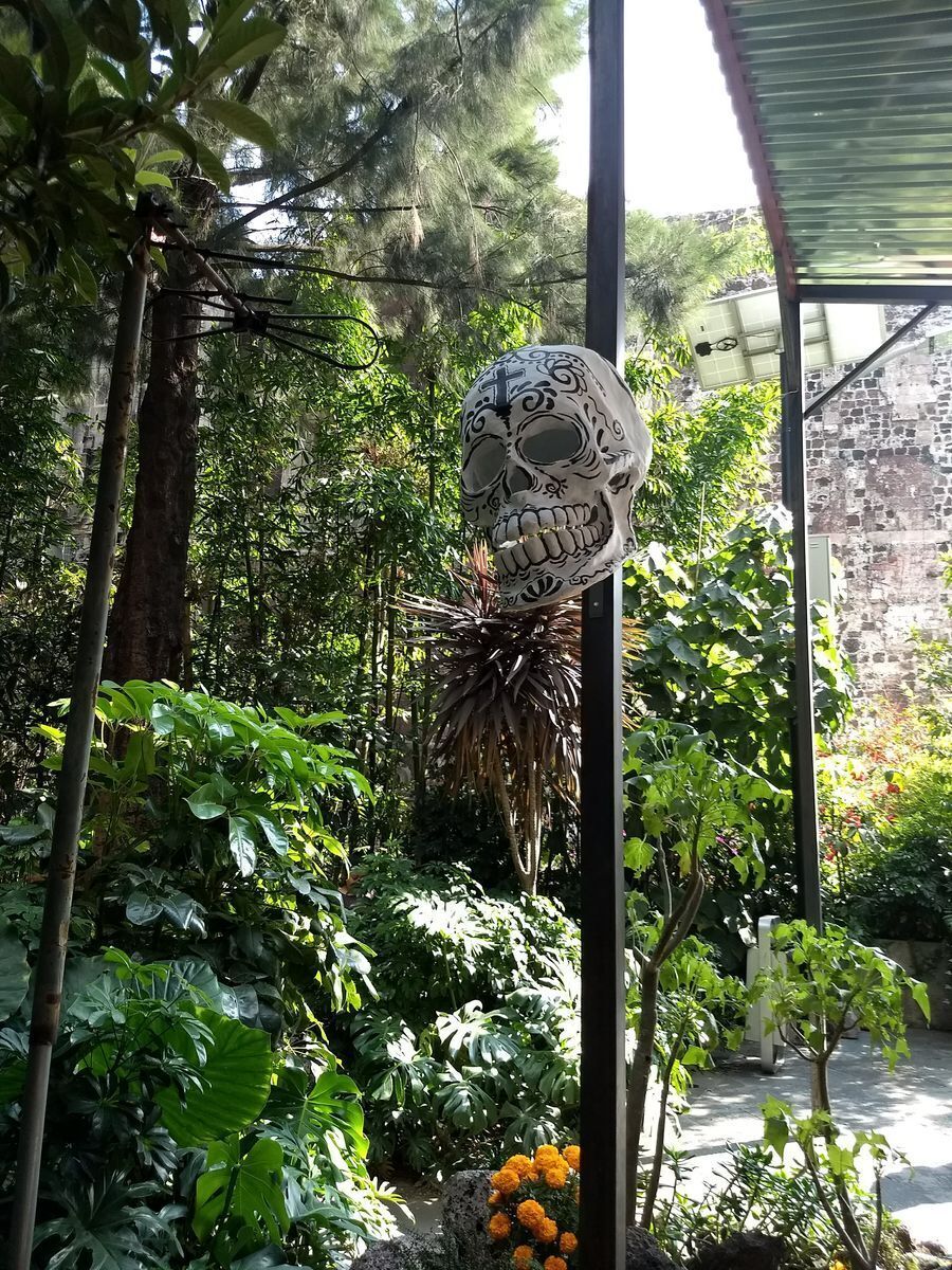 Terreno en venta en puerto Morelos Ruta de los Cenotes