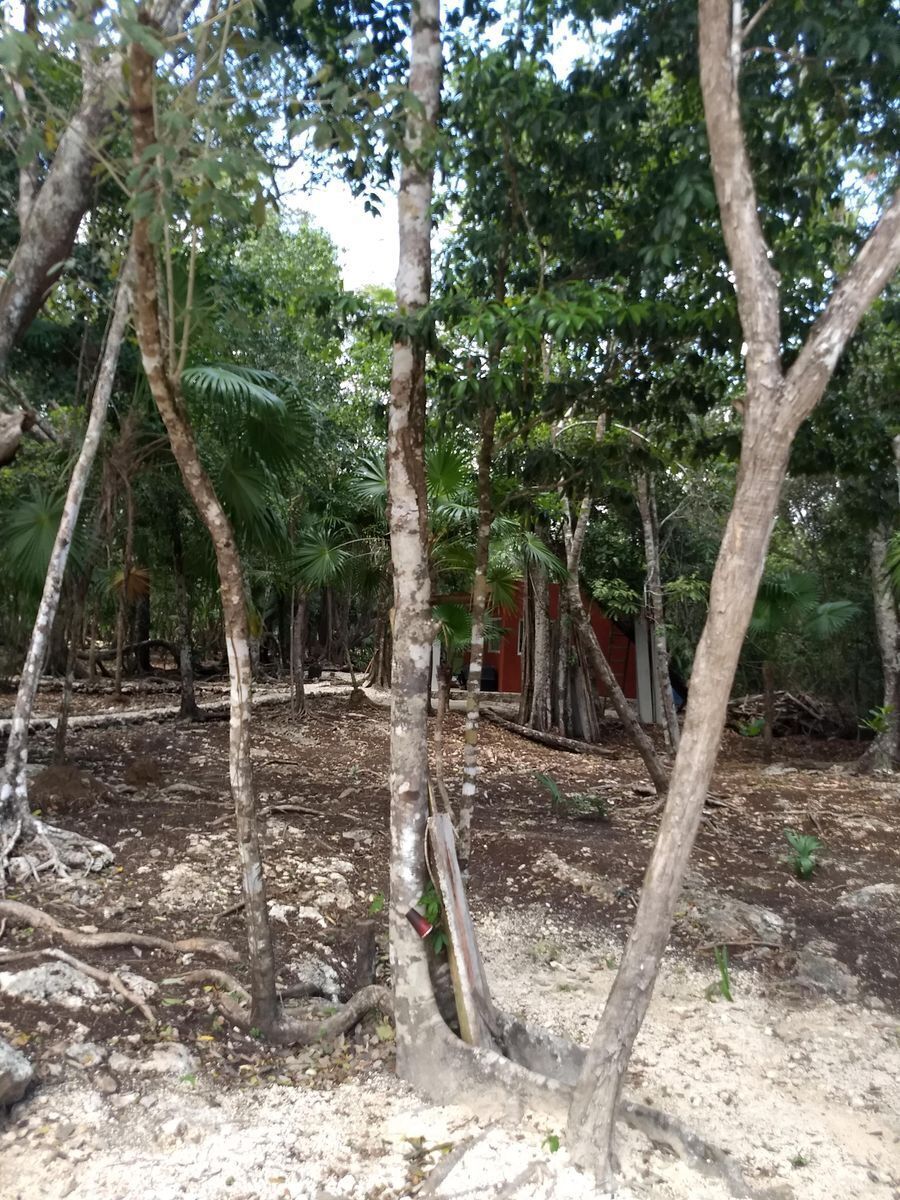 terreno-en-venta-en-puerto-morelos-ruta-de-los-cenotes5-11785