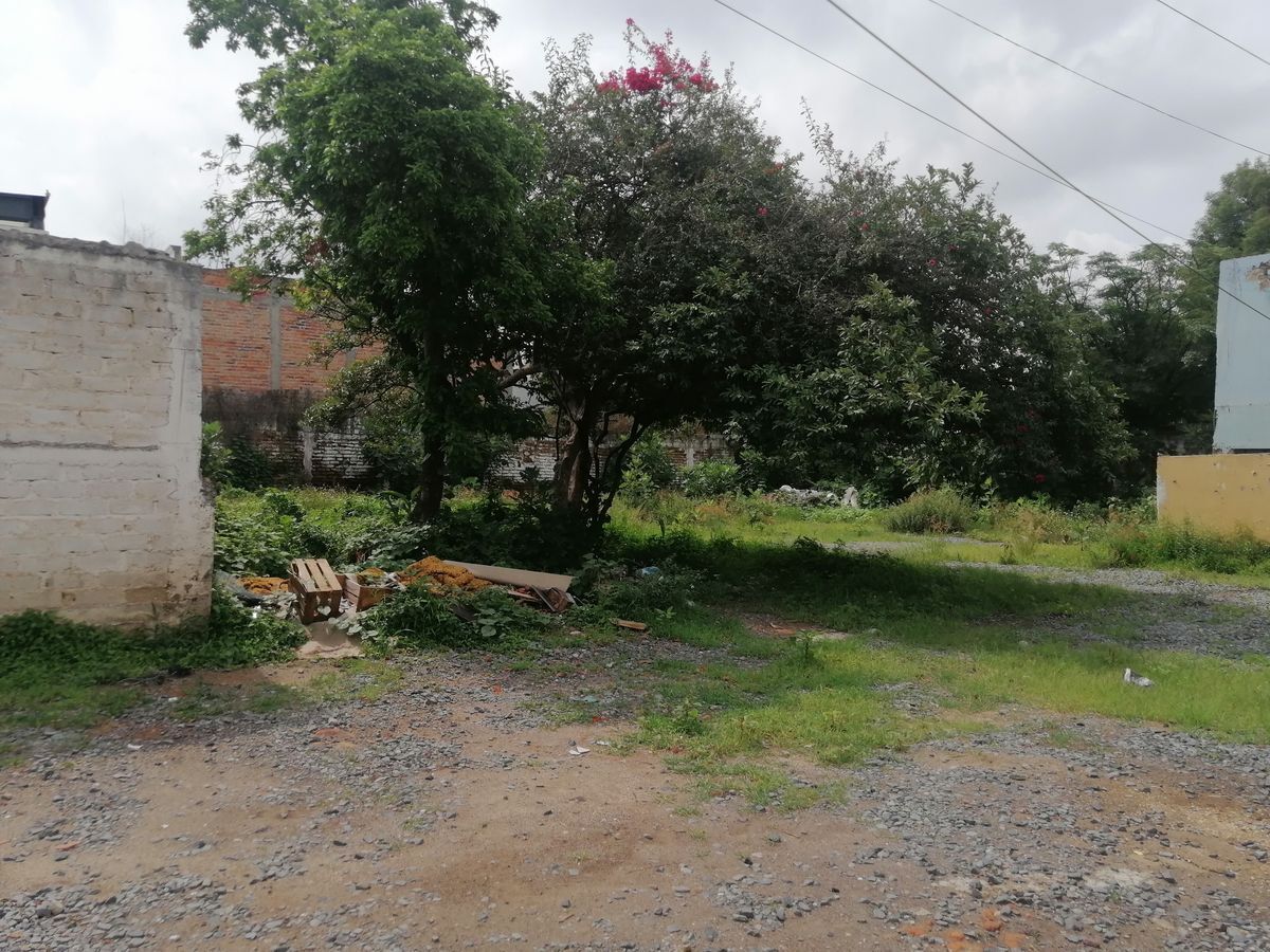 terreno-en-venta-en-san-andrs3-14507