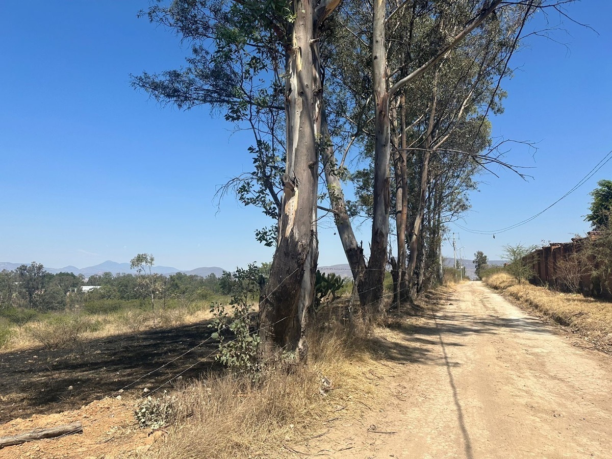 Terreno en venta en san Jose del Cerrito, UNAM morelia