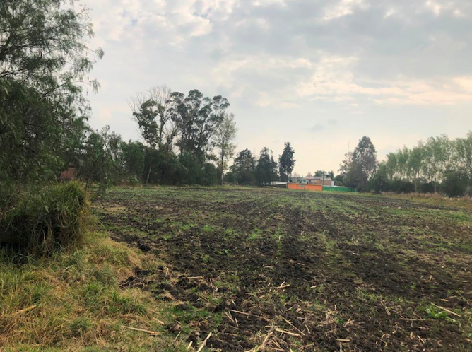 TERRENO EN VENTA EN SANTA BÁRBARA