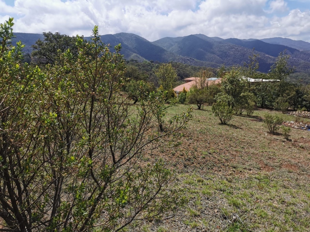 terreno-en-venta-en-sierra-de-santa-rosa-en-guanajuato-gto4-29130