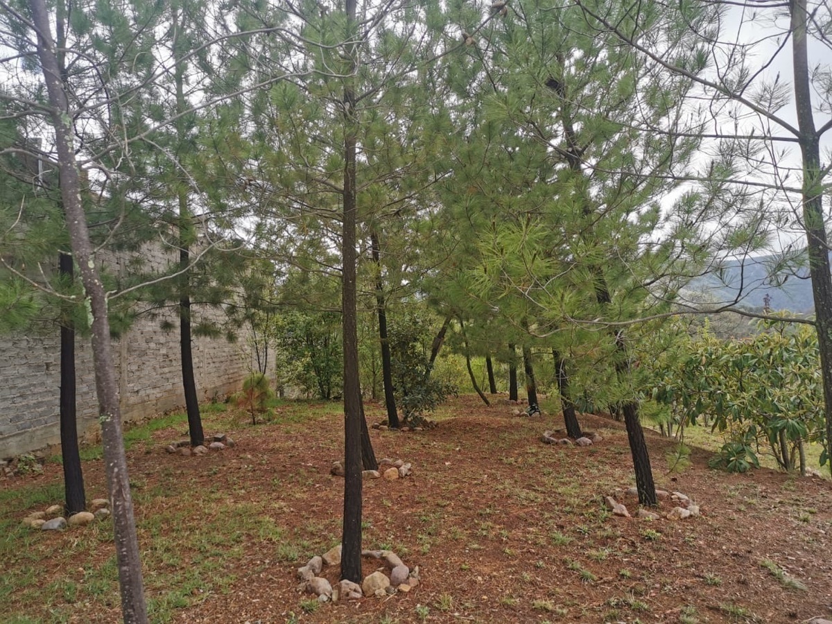 terreno-en-venta-en-sierra-de-santa-rosa-en-guanajuato-gto6-29130