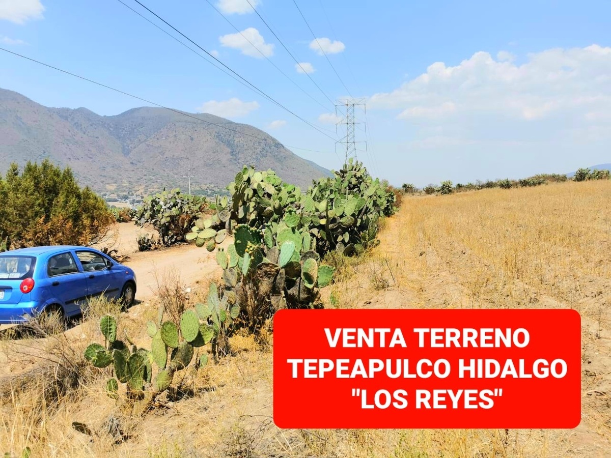 TERRENO EN VENTA EN TEPEAPULCO HIDALGO,  IDEAL PARA CULTIVO