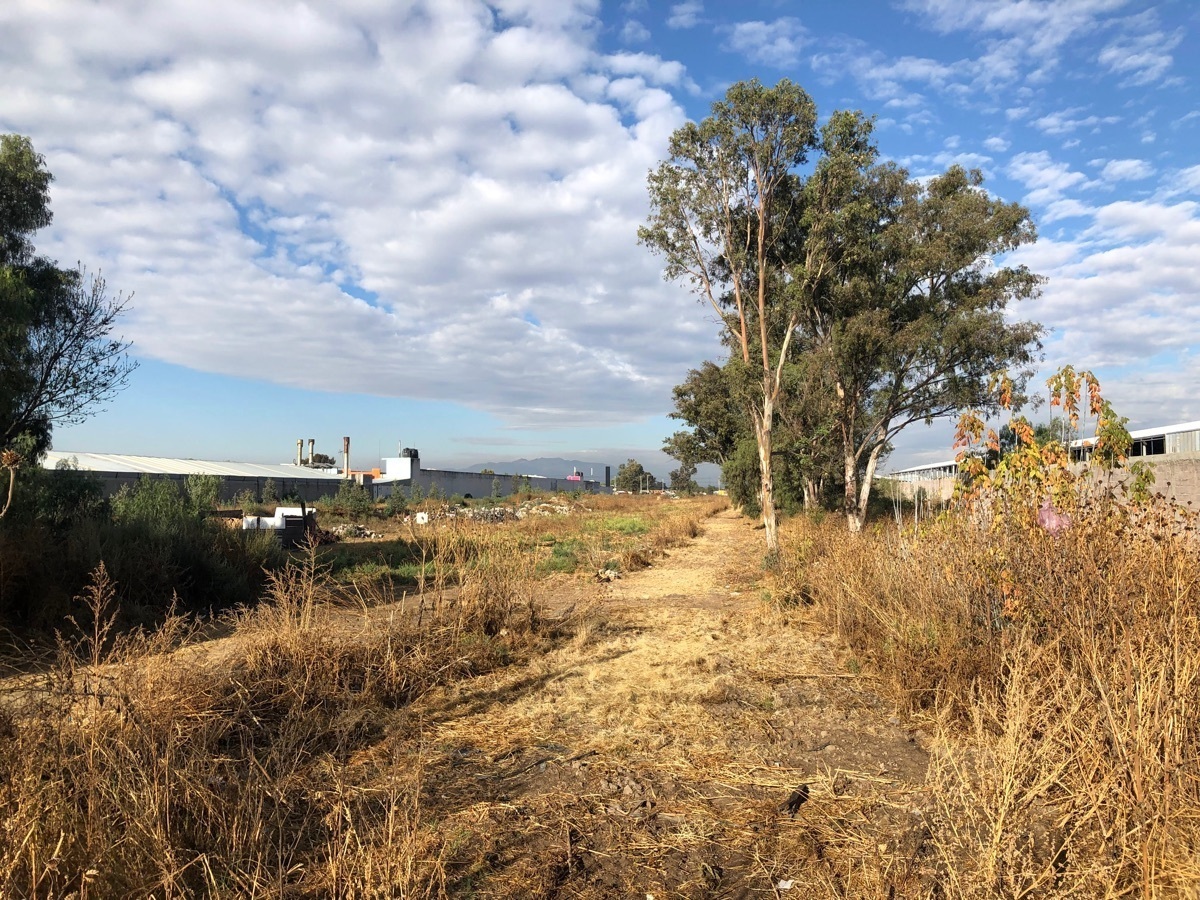 Terreno en Venta en Tezoyuca