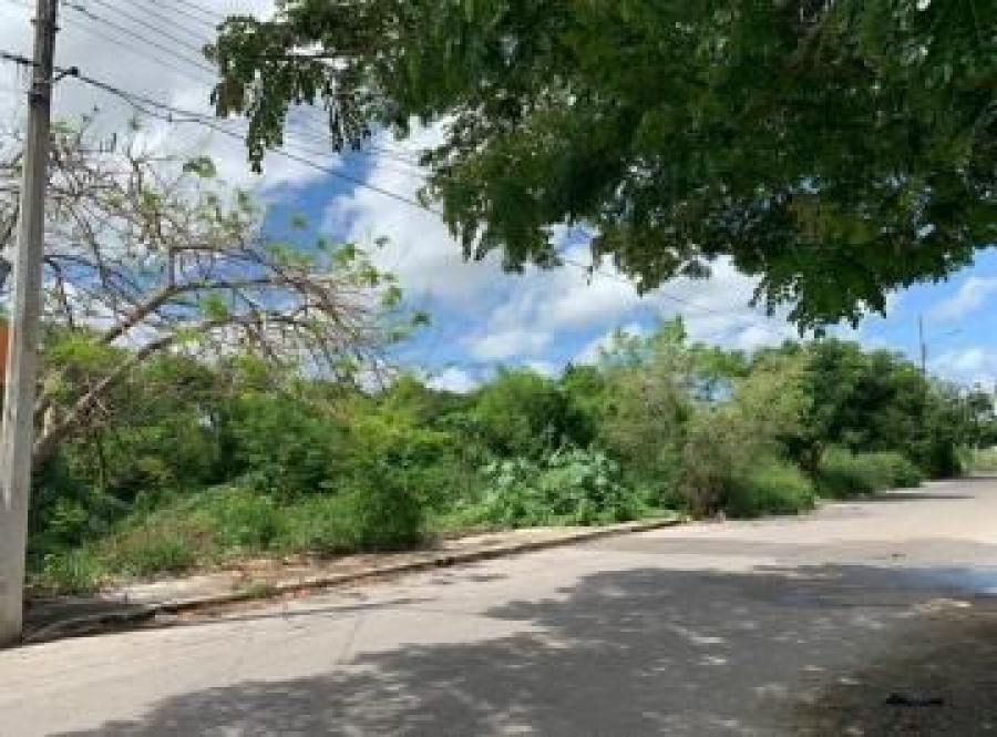 terreno-en-venta-en-tixcacal-yucatn9-35277