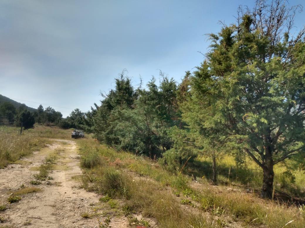 TERRENO EN VENTA FRACCIONAMIENTO LOS ANDES CAMPESTRE ARTEAGA COAHUILA