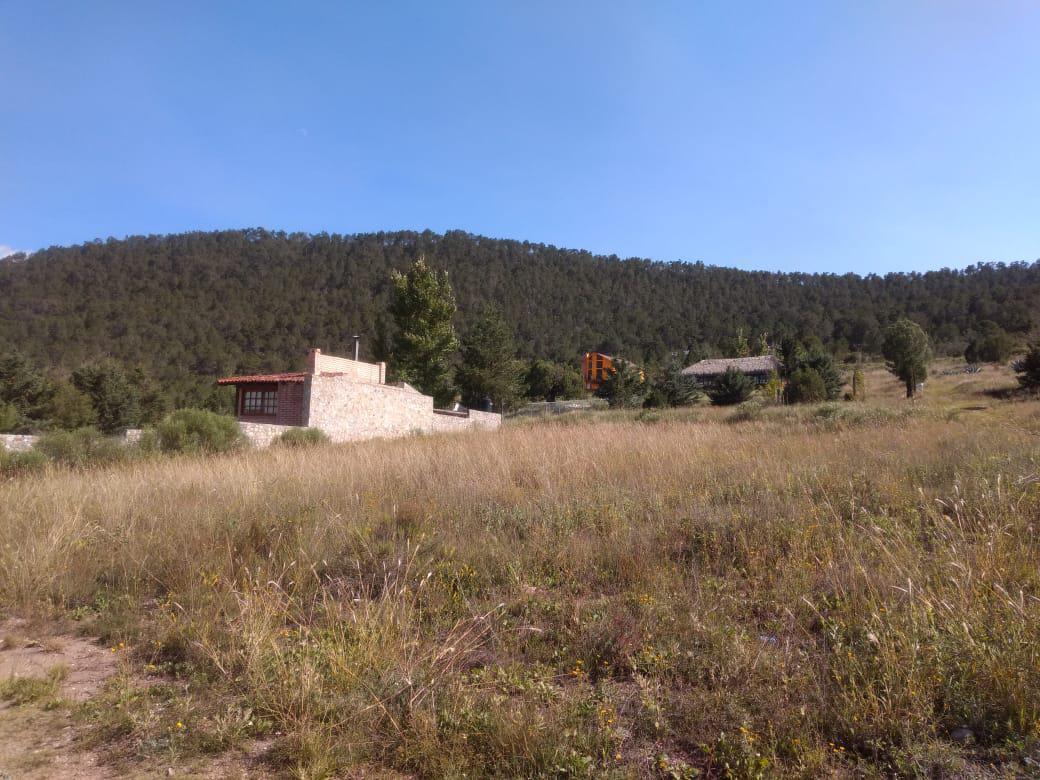 terreno-en-venta-fraccionamiento-los-andes-campestre-arteaga-coahuila11-13821