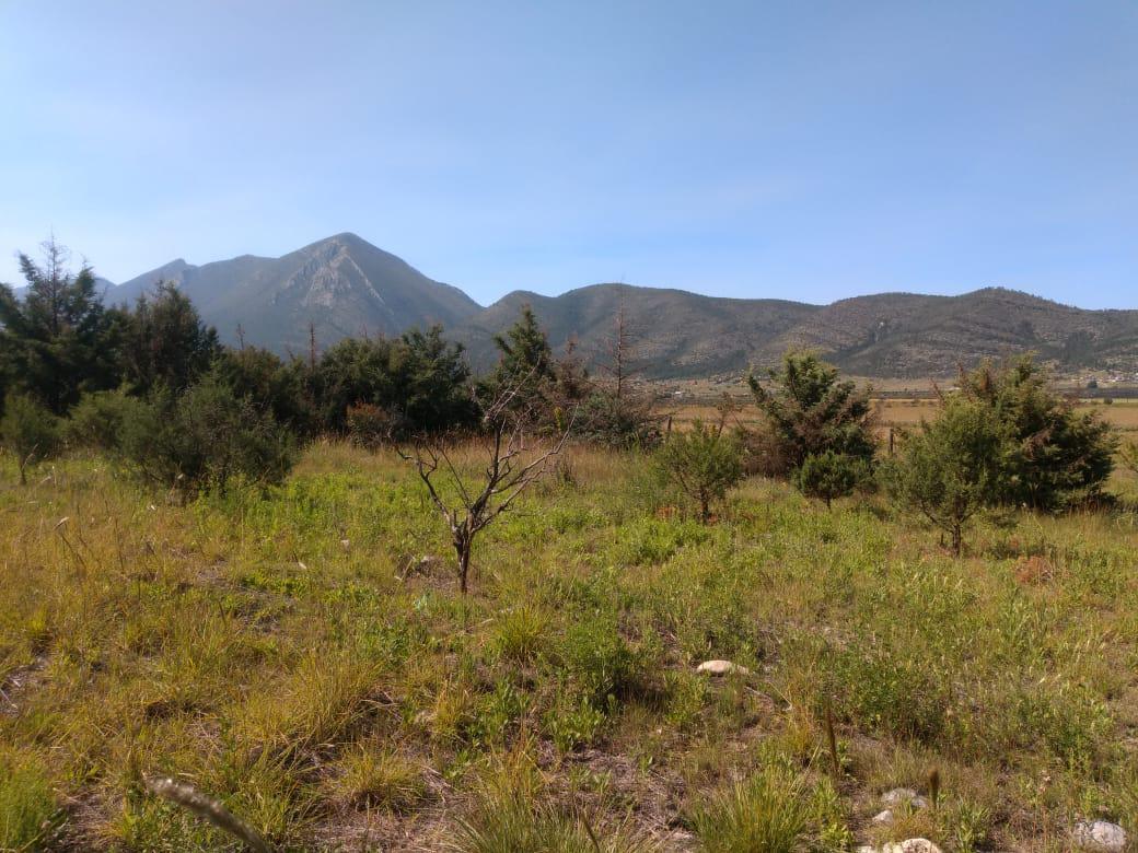 terreno-en-venta-fraccionamiento-los-andes-campestre-arteaga-coahuila6-13821