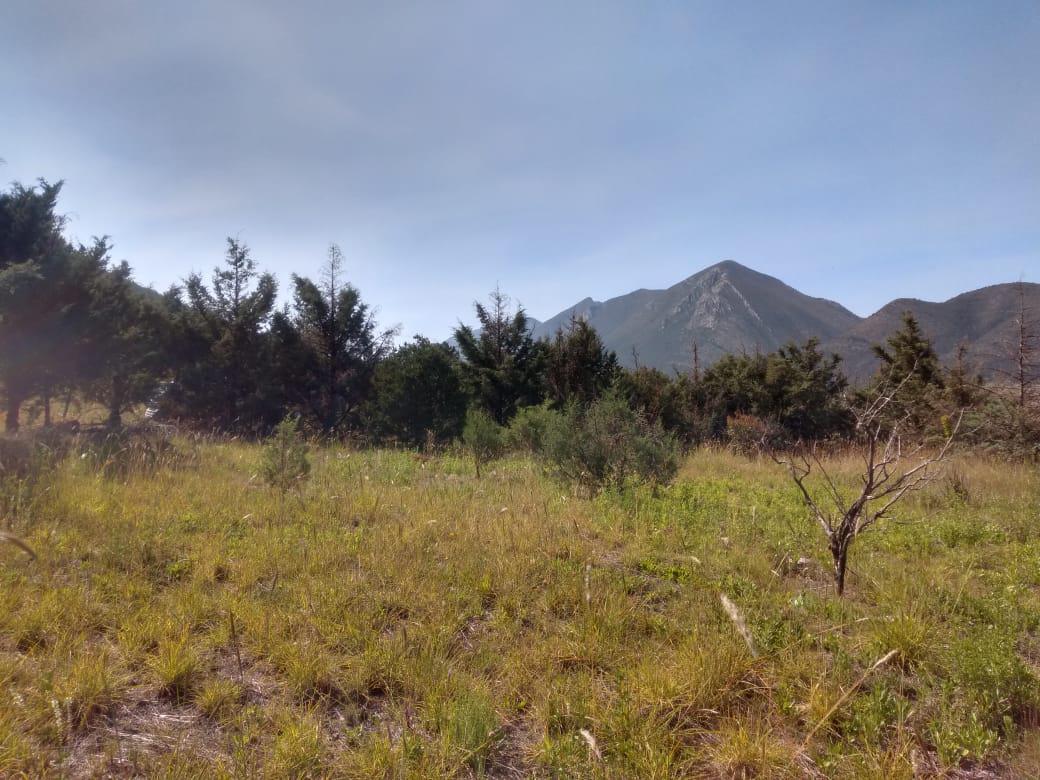 terreno-en-venta-fraccionamiento-los-andes-campestre-arteaga-coahuila8-13821