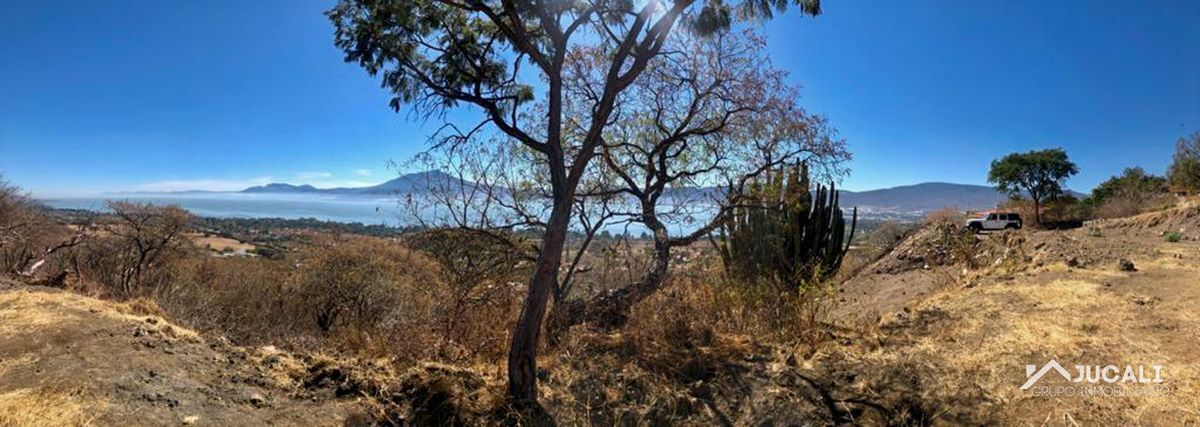 terreno-en-venta-fraccionamiento-rancho-alegre-jocotepec1-19390